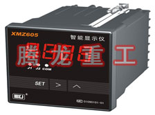 溫度表、數(shù)字顯示儀、濕度表