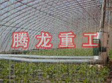 大棚花卉供暖設(shè)備、大棚卉采暖設(shè)備、大棚花卉取暖設(shè)備