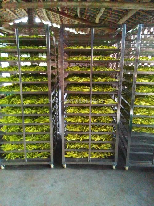黃花菜烘干機(jī)、黃花菜烘干設(shè)備、黃花菜干燥機(jī)、黃花菜干燥設(shè)備、